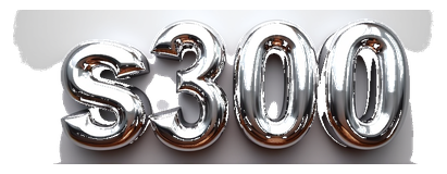 s300 logo